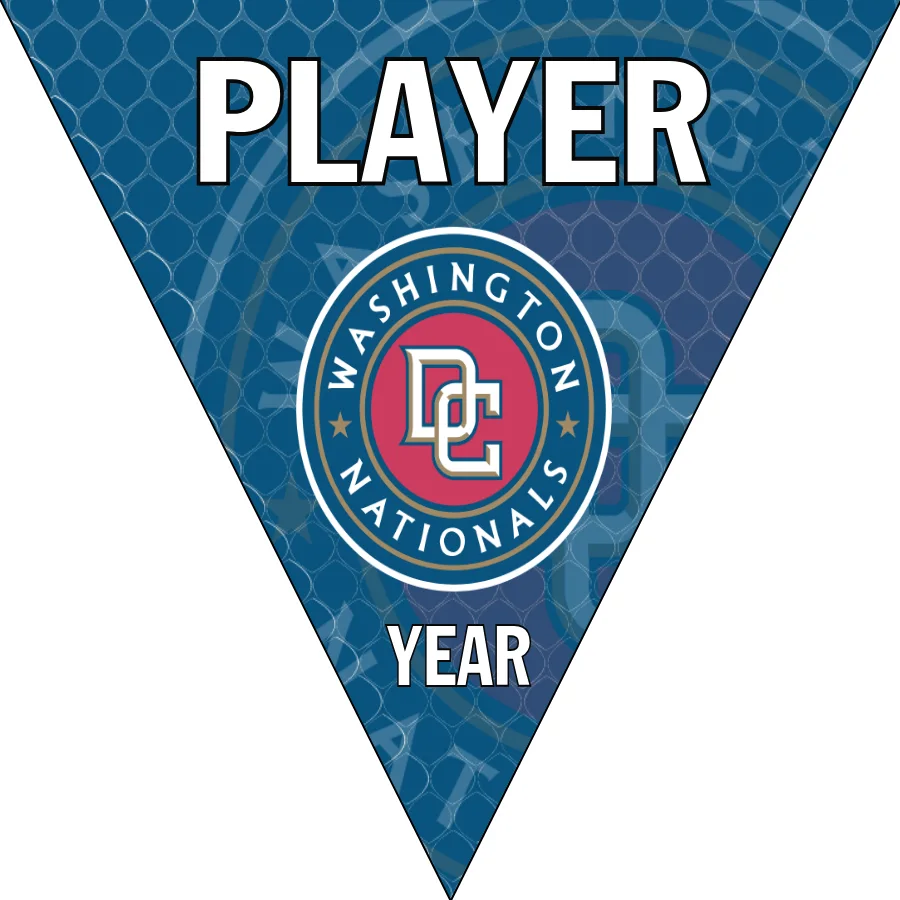 Nationals 2 Baseball Banner-baseball-banners-with-pictures-images