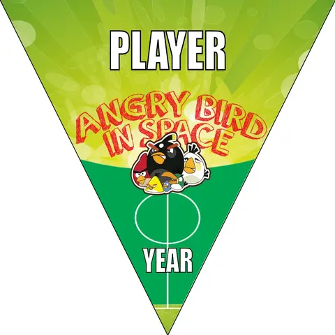 Angry Birds in space Soccer Banner-soccer-banner-printing-picture
