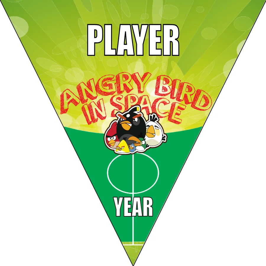 Angry Birds in space Soccer Banner-soccer-banner-printing-picture