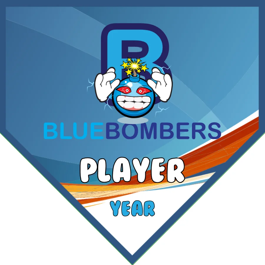 BlueBomber Soccer Banner-cheetah-soccer-banner-picture