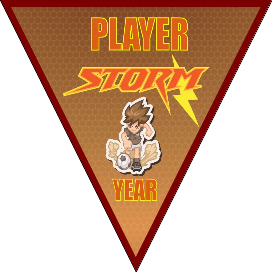 Storm Soccer Banner-soccer-banners-ideas-picture