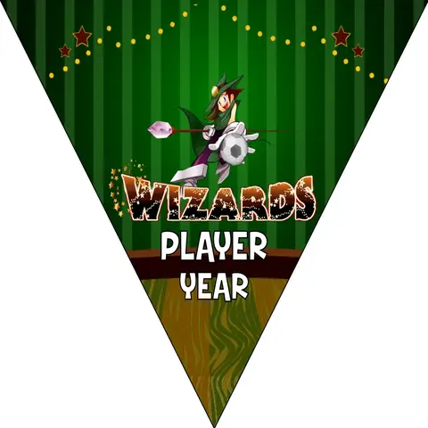 Wildcats Soccer Banner,-soccer-party-banner-picture