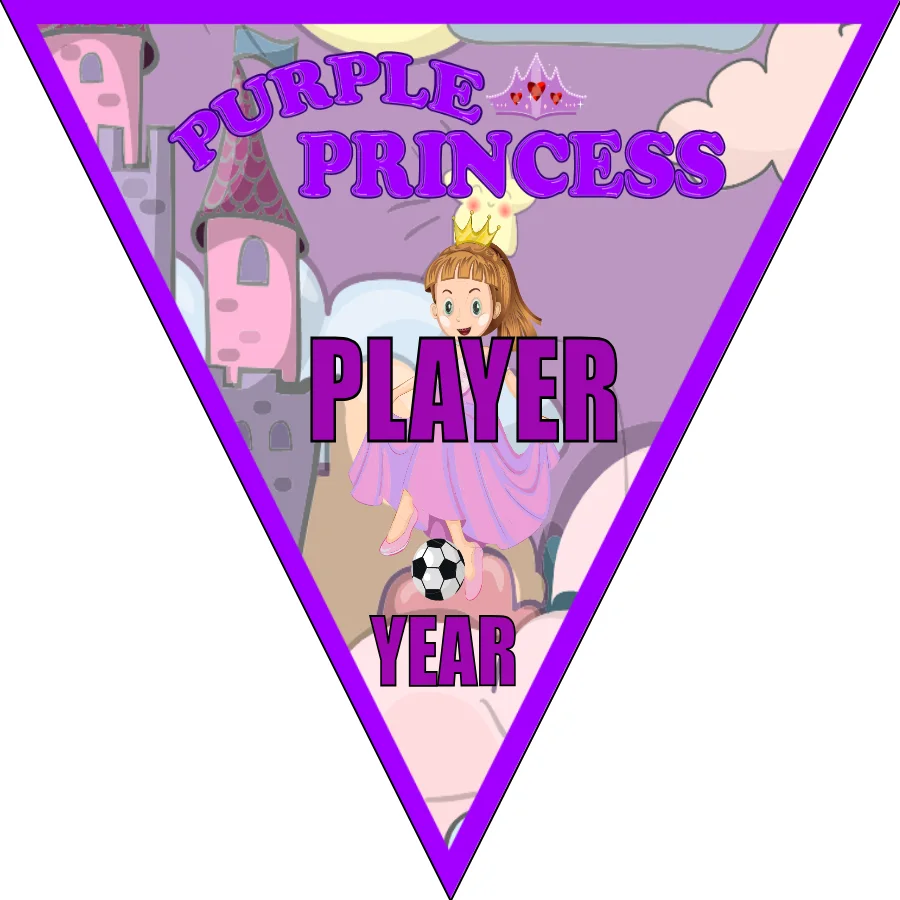 Princess Purple Soccer Banner-soccer-banners-picture