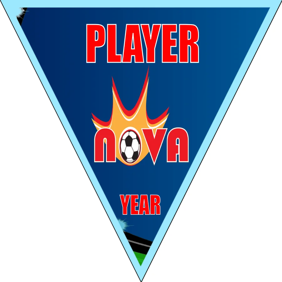 Nova Banner soccer-soccer-banner-flags-picture