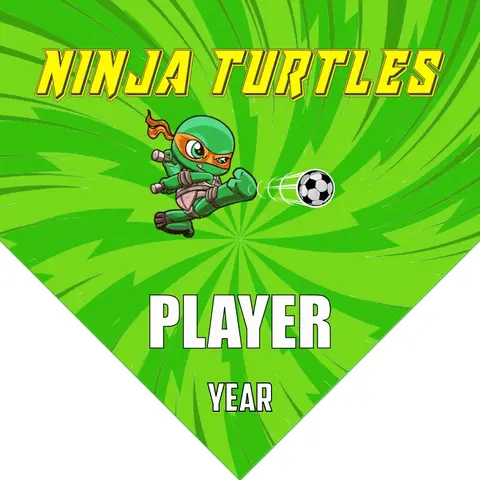 Ninja Turtles 1 Soccer Banner-soccer-banner-printing-picture