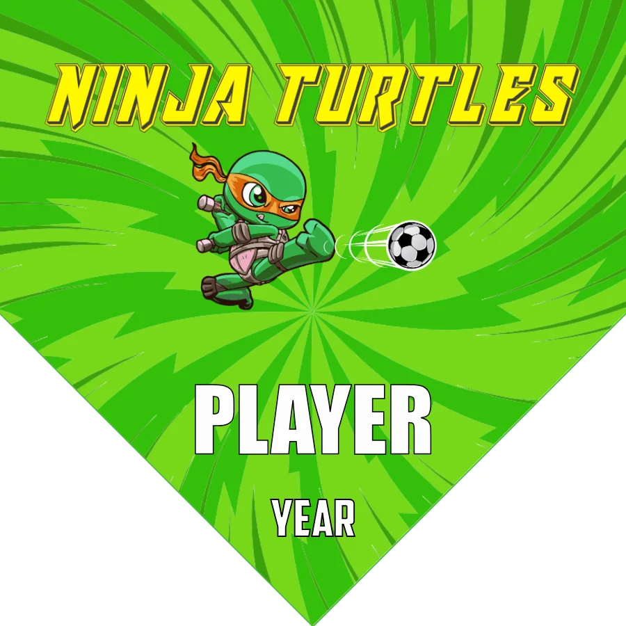 Ninja Turtles 1 Soccer Banner-soccer-banner-printing-picture