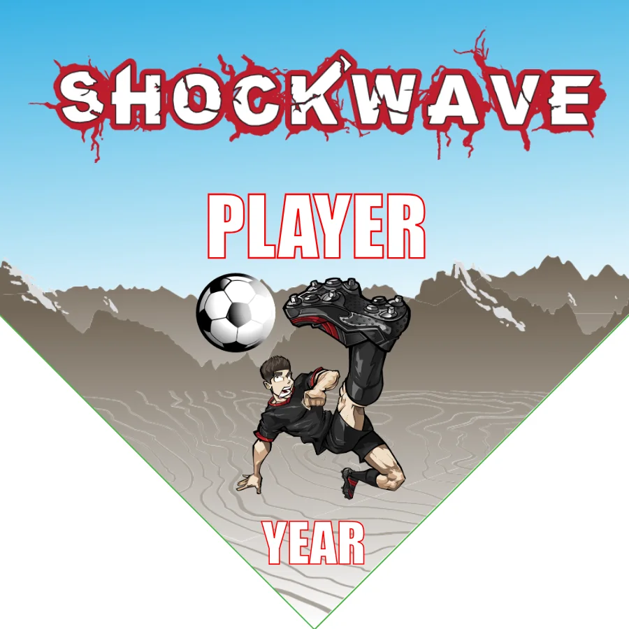 Shockwaves 2 Soccer Banner-soccer-banners-and-flags-picture