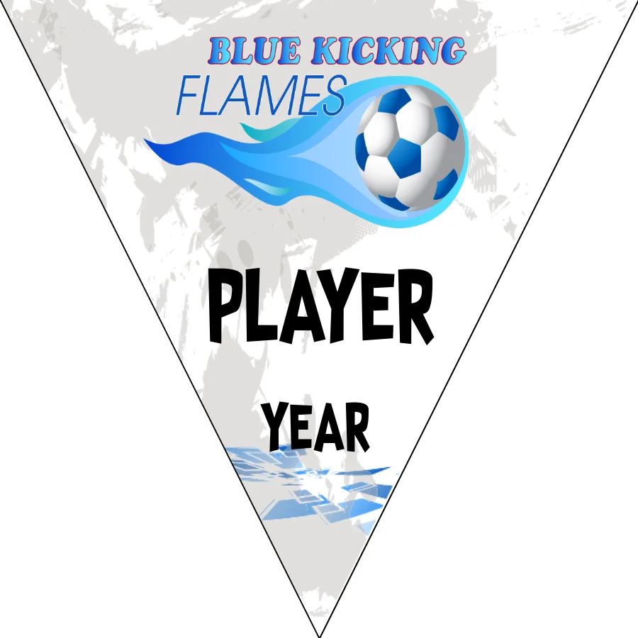 Blue kicking flames Soccer Banner-make-soccer-banner-stand-picture