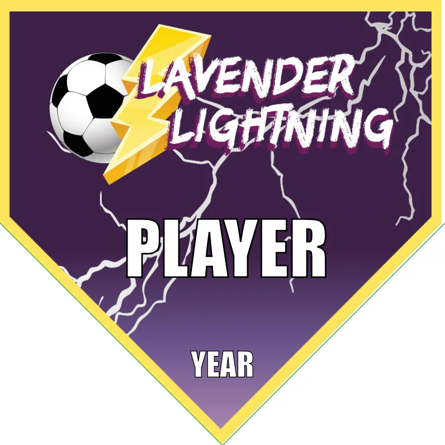 Lavender lightning 2 Soccer Banner-soccer-team-banners-picture