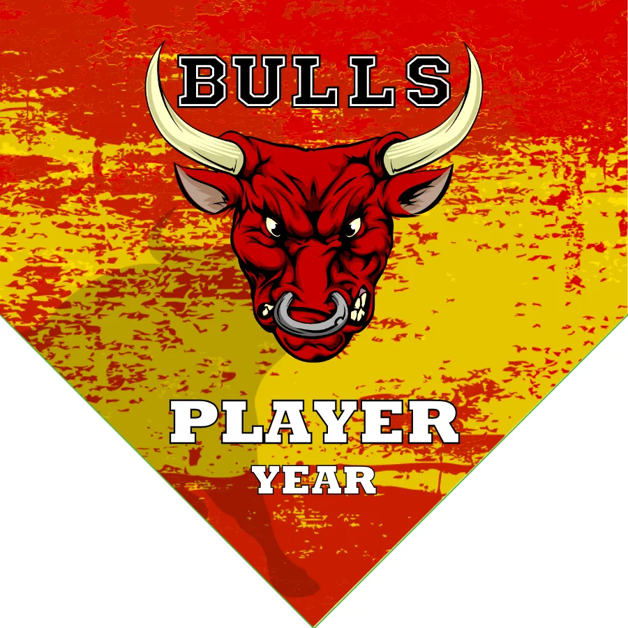 Bulls 2 Soccer Banner-dutch-soccer-banner-picture