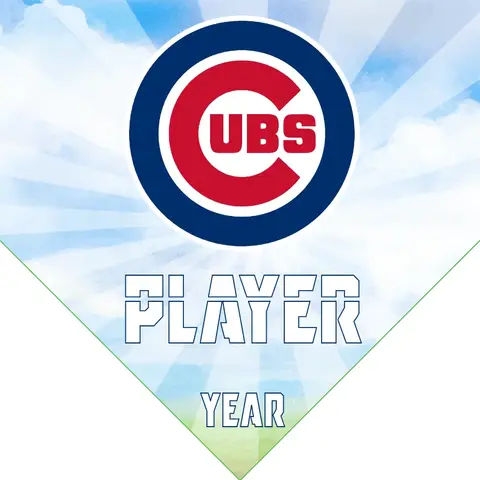 Chicago Cubs 2 Baseball Banner-baseball-flags-and-banners-images