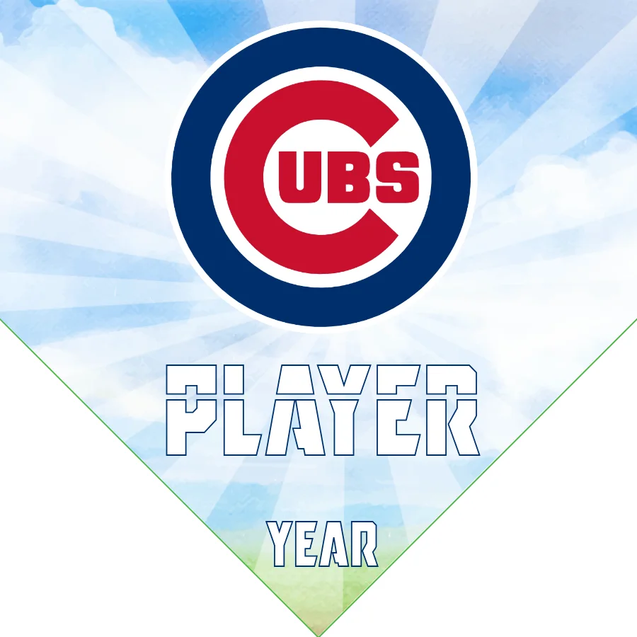 Chicago Cubs 2 Baseball Banner-baseball-flags-and-banners-images
