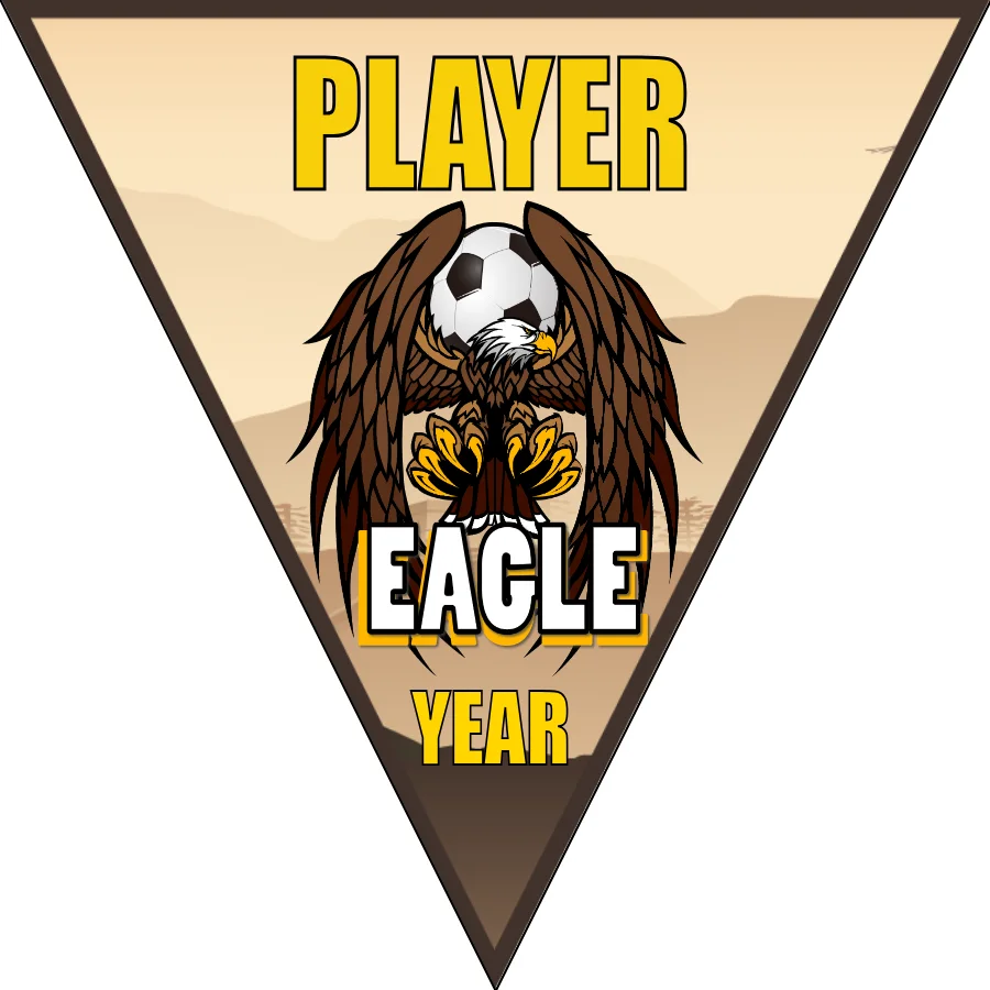 Eagle Soccer Banner-soccer-banners-ideas-picture