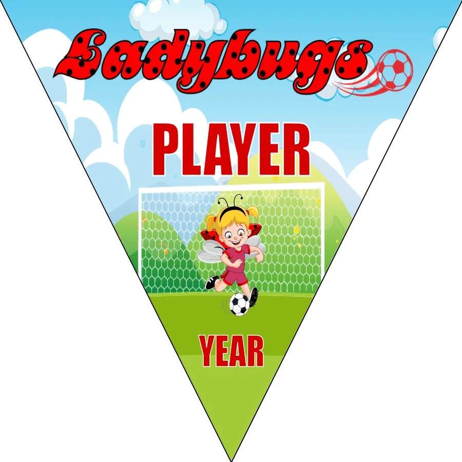 Ladybugs Soccer Banner-homemade-soccer-banner-ideas-picture