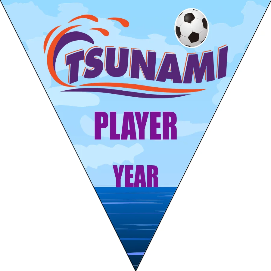 Tsunami 2 Soccer Banner-youth-soccer-banners-picture