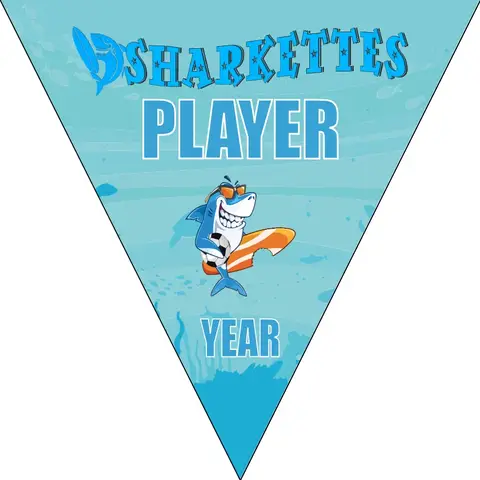 Sharkettes Soccer Banner-soccer-birthday-banner-picture