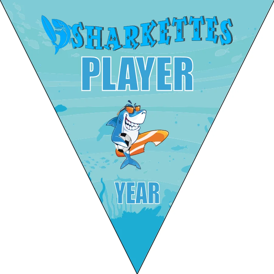 Sharkettes Soccer Banner-soccer-birthday-banner-picture