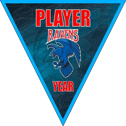 Ravens Soccer Banner-banners-for-soccer-team-picture