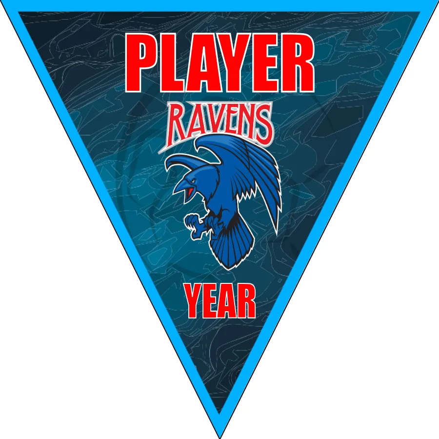 Ravens Soccer Banner-banners-for-soccer-team-picture