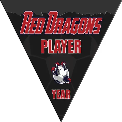 Red Dragons Soccer Banner-soccer-banners-picture