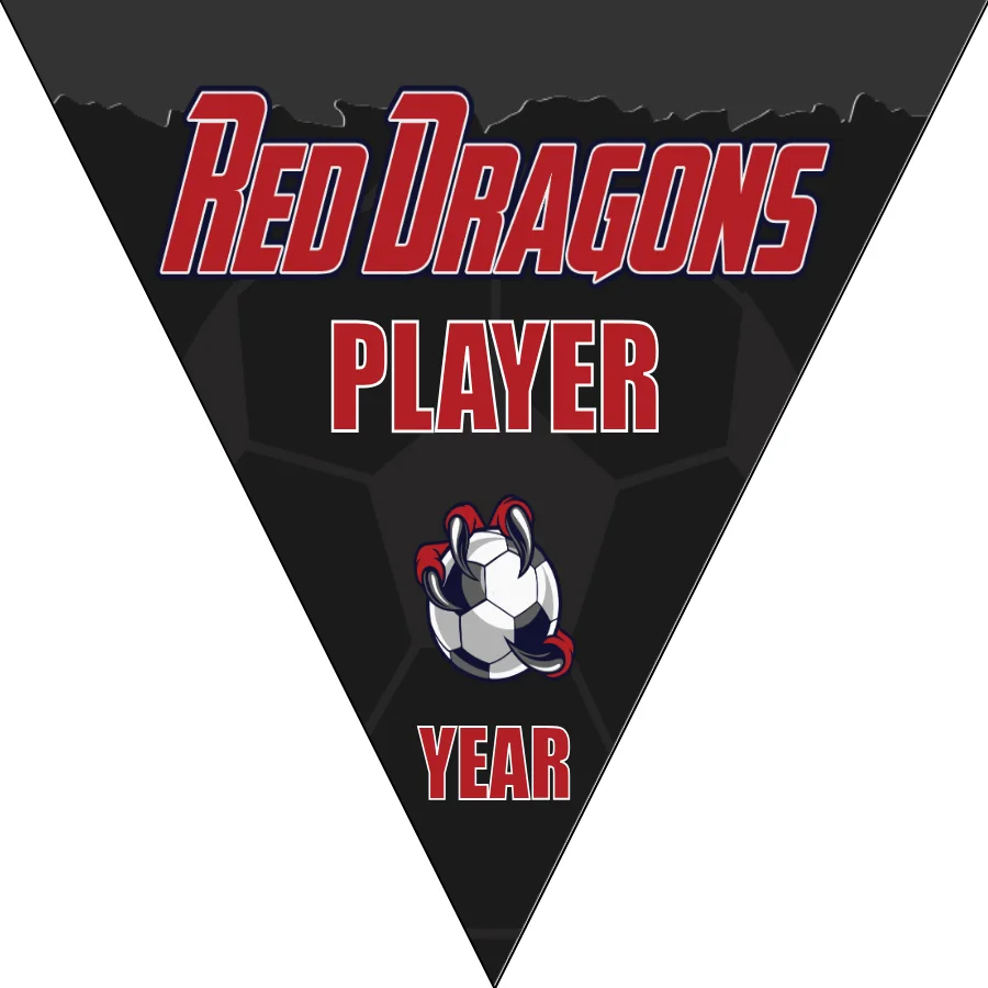 Red Dragons Soccer Banner-soccer-banners-picture