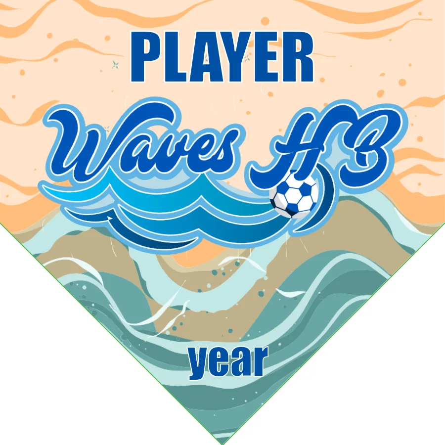 Waves HB Soccer Banner-soccer-banners-for-sale-picture