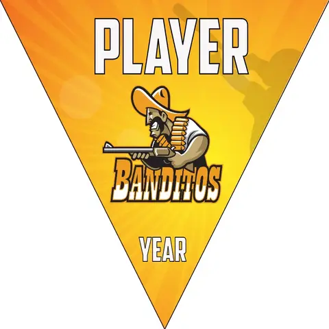Banditos Softball Banner-softball-dugout-banner-picture