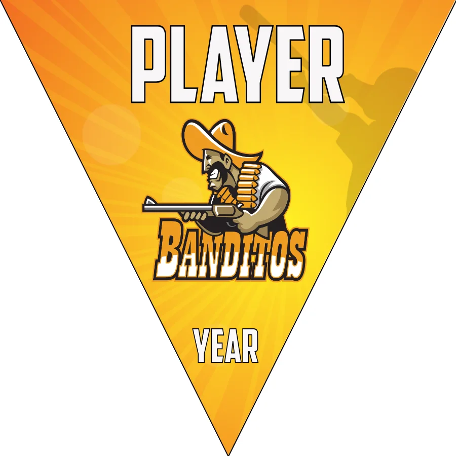 Banditos Softball Banner-softball-dugout-banner-picture