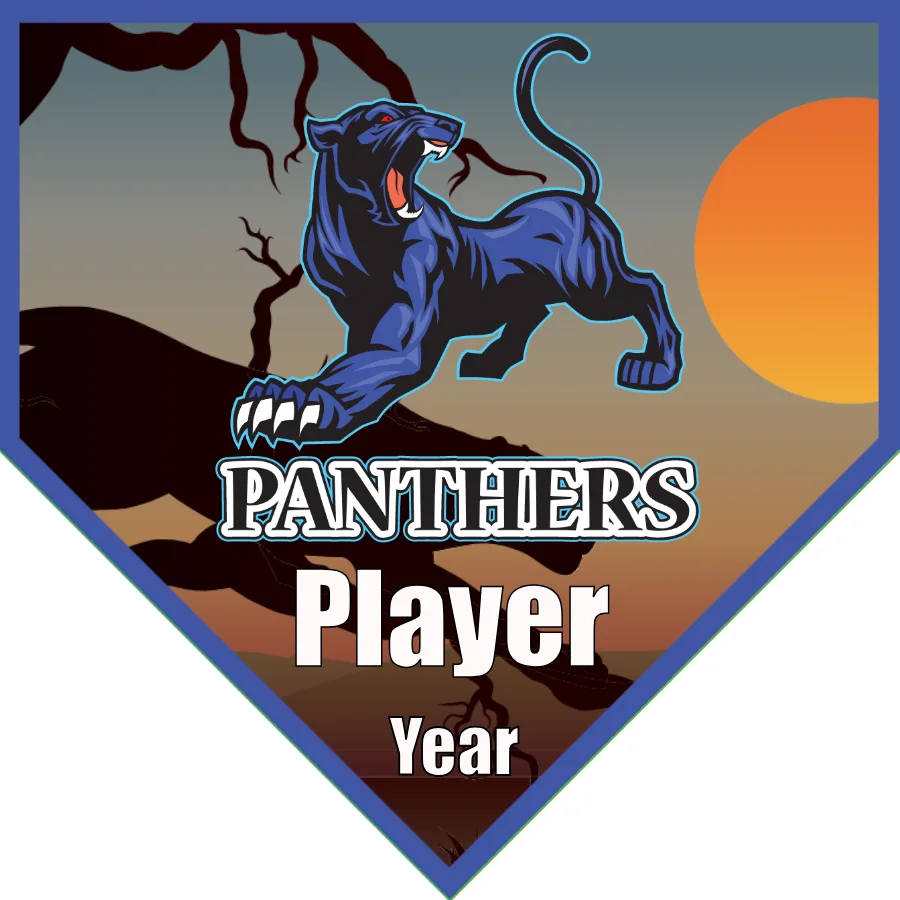 Panther Soccer Banner-soccer-banner-size-picture