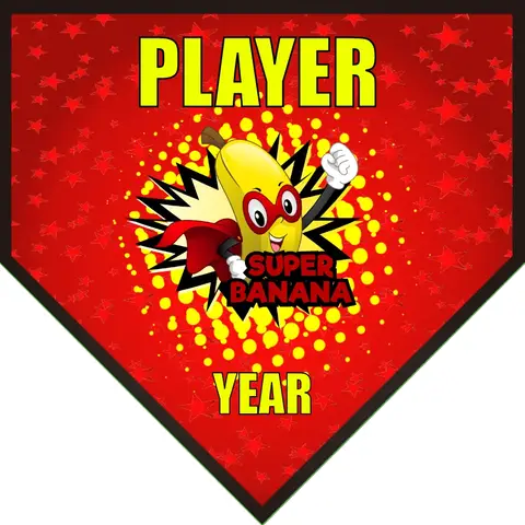 Superbanana Soccer Banner-soccer-team-banner-picture