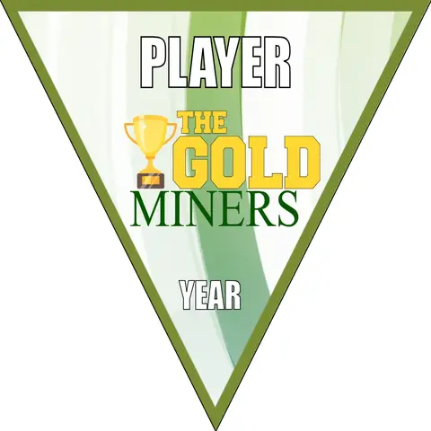 Gold Miners Soccer Banner-soccer-team-banners-picture