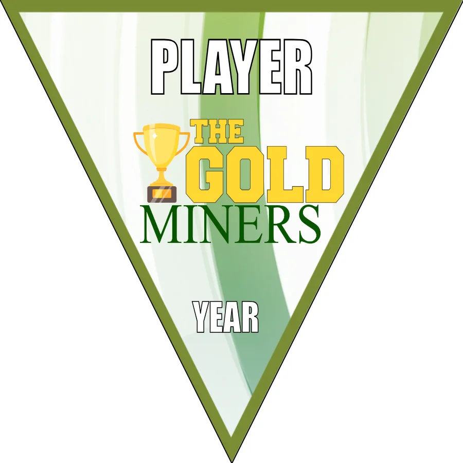 Gold Miners Soccer Banner-soccer-team-banners-picture