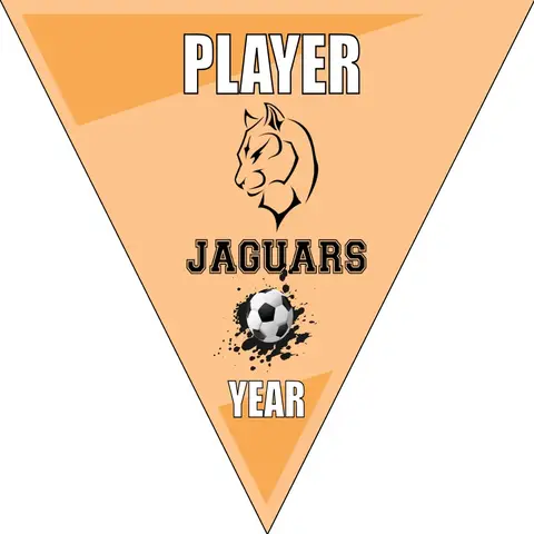 JAGUARS Soccer Banner-soccer-banner-flags-picture