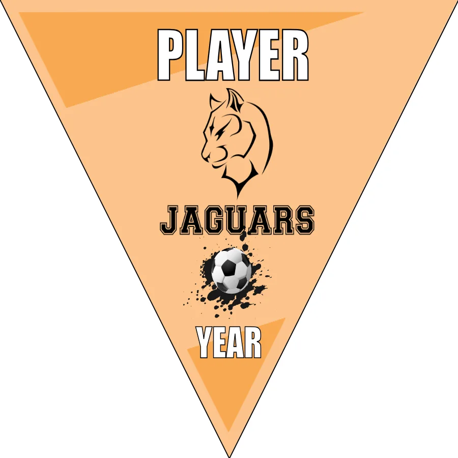 JAGUARS Soccer Banner-soccer-banner-flags-picture