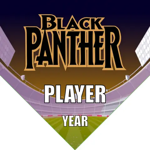 Black Panther Soccer Banner-soccer-ball-banner-picture