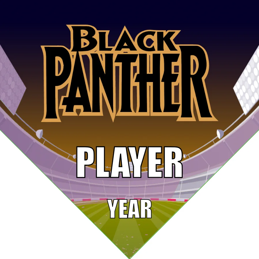 Black Panther Soccer Banner-soccer-ball-banner-picture