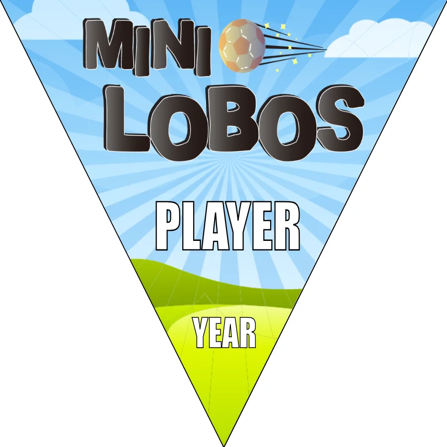 Lobos Mini Soccer Banner-youth-soccer-banners-picture