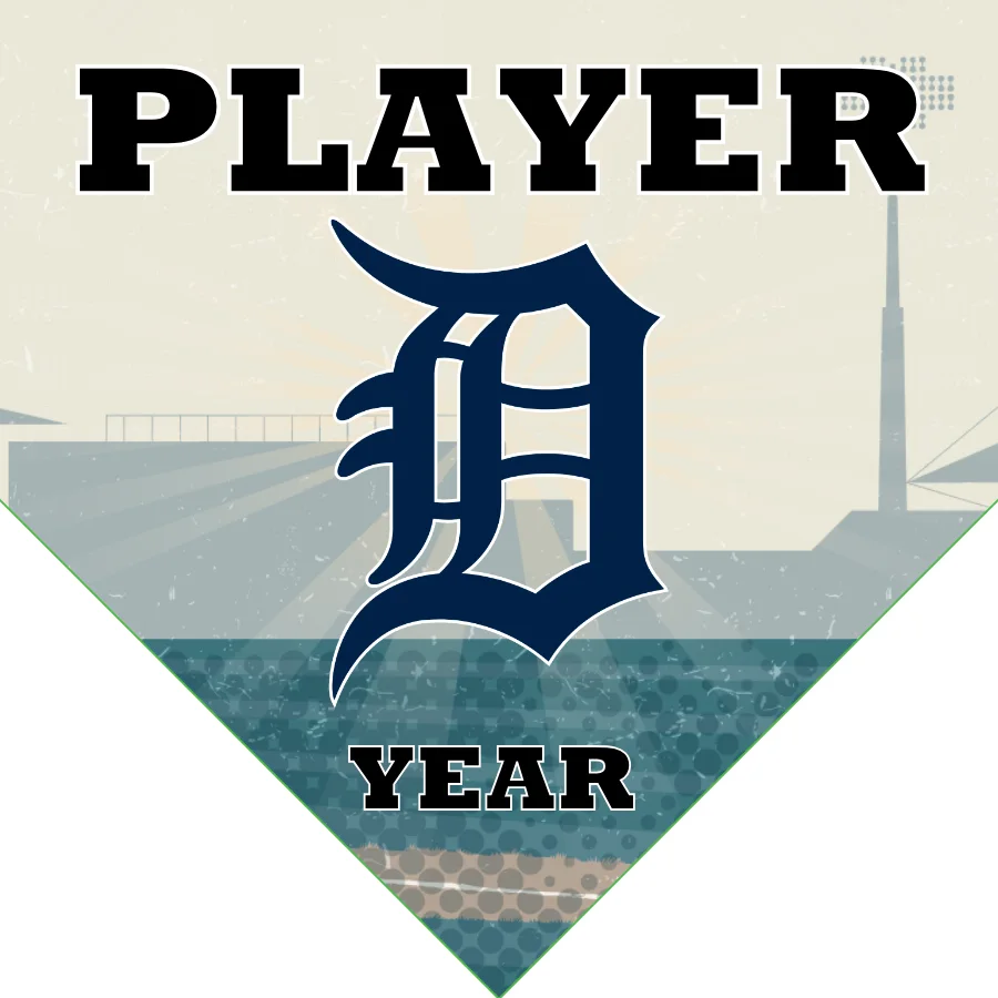 Detroit Baseball Banner-baseball-banners-homemade-images