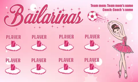 Bailarinas Soccer Banner-soccer-team-banners-ayso-picture