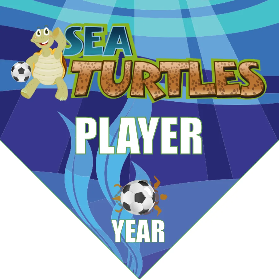 Turtles Sea Soccer Banner-soccer-ball-banner-picture
