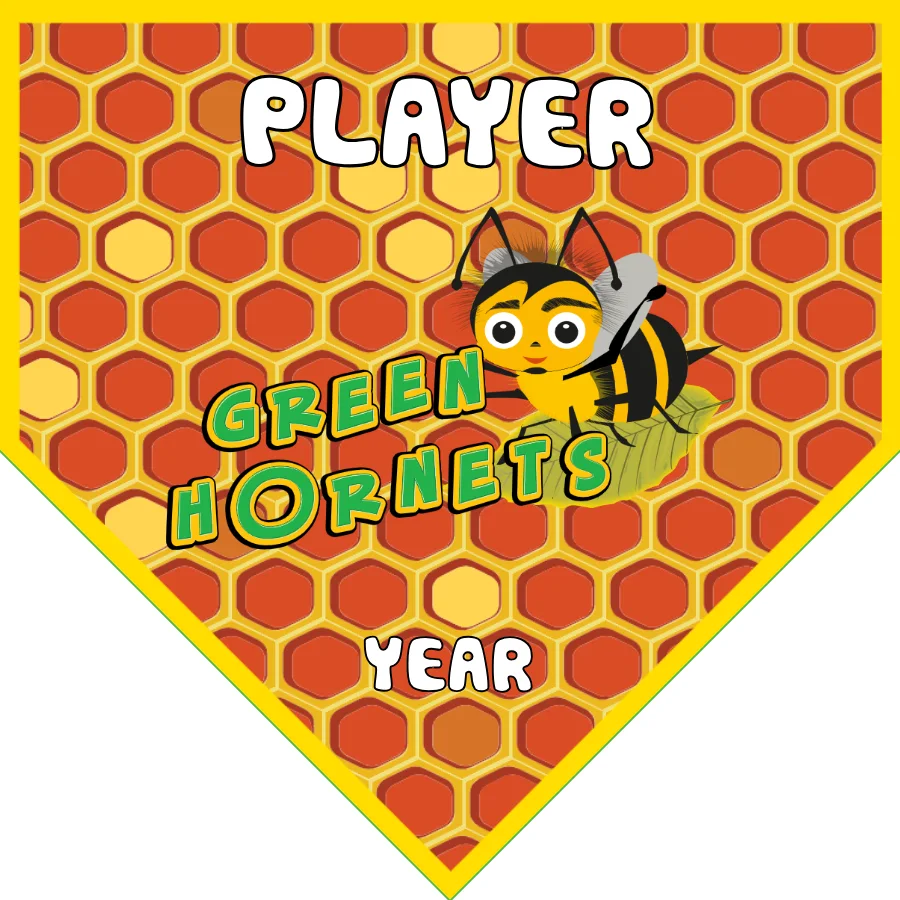 Green Hornet Soccer Banner-reddit-soccer-banner-picture