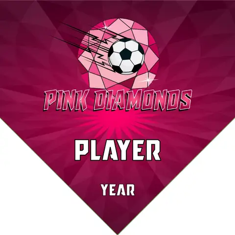 Diamonds Pink Soccer Banner-soccer-sports-banners-picture