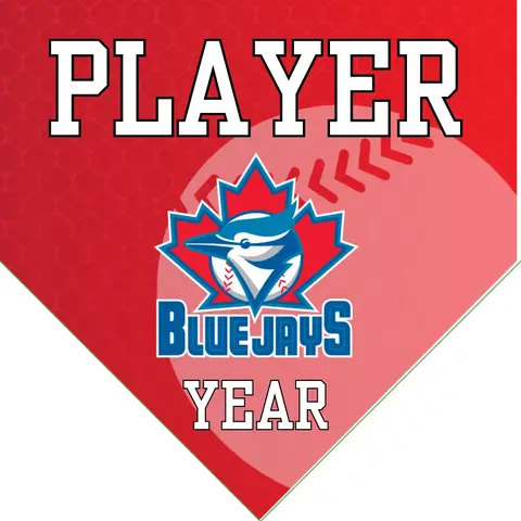 Blue Jays 2 Baseball Banner-making-a-felt-baseball-banner-images