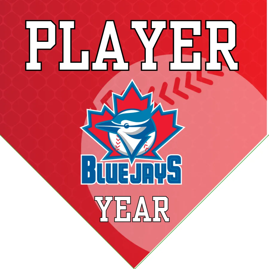 Blue Jays 2 Baseball Banner-making-a-felt-baseball-banner-images