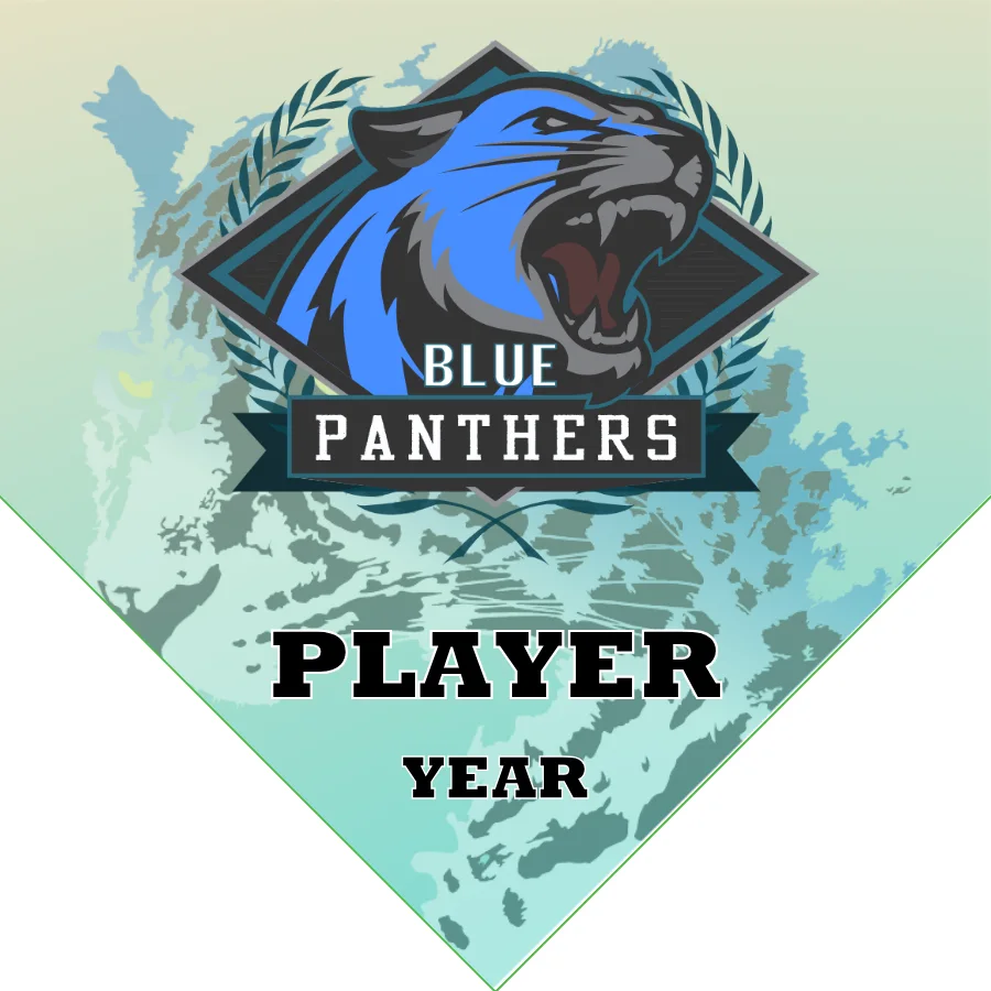 Blue Panthers Soccer Banner-soccer-banner-gallery.com-picture