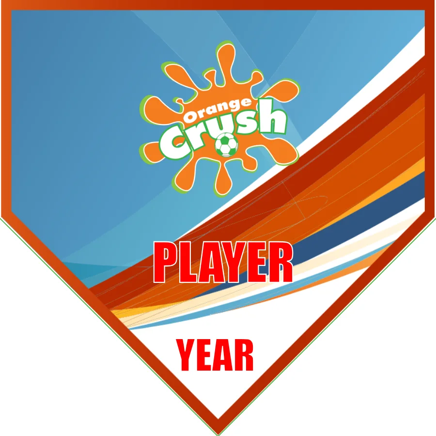 OrangeCrush Soccer Banner-soccer-team-banner-picture