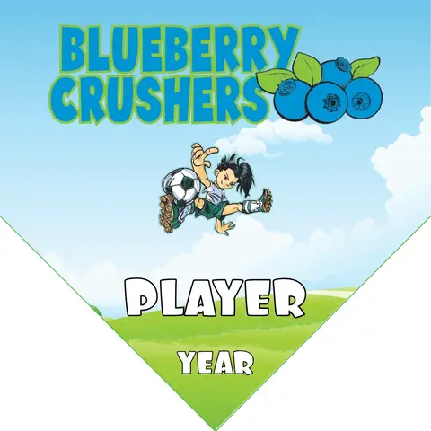 Blueberry Soccer Banner-chelsea-soccer-banner-picture