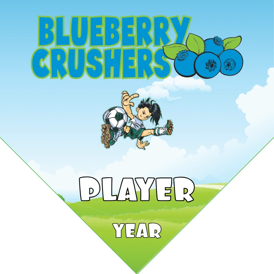 Blueberry Soccer Banner-chelsea-soccer-banner-picture