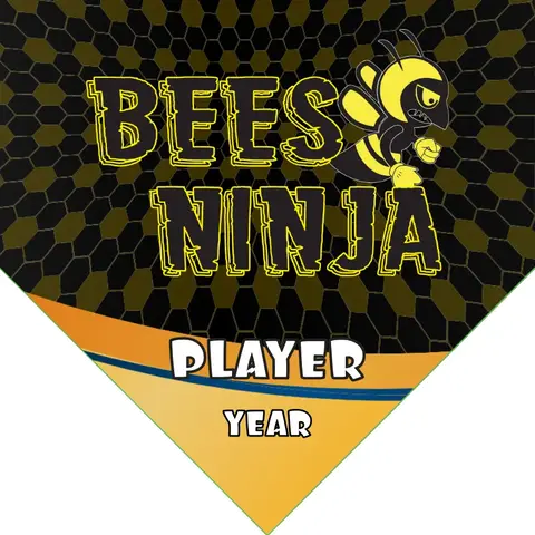 Bees Ninja Soccer Banner-design-a-soccer-banner-picture