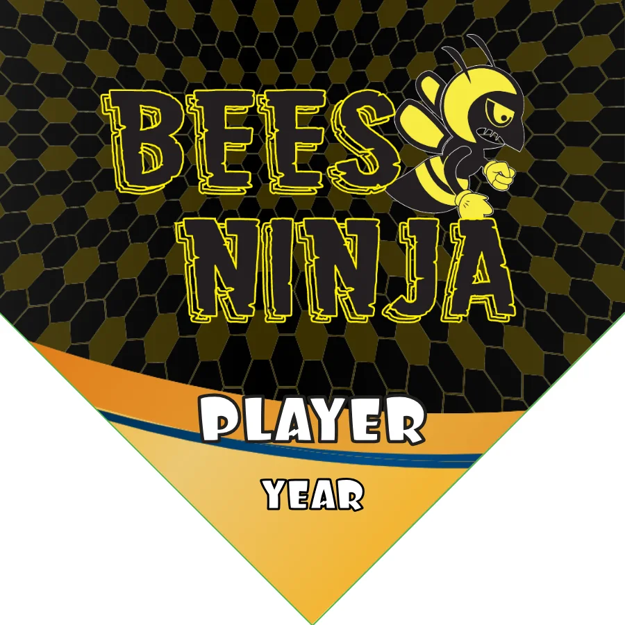Bees Ninja Soccer Banner-design-a-soccer-banner-picture
